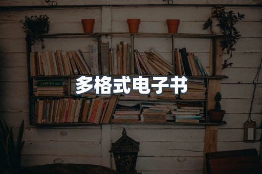 多格式电子书